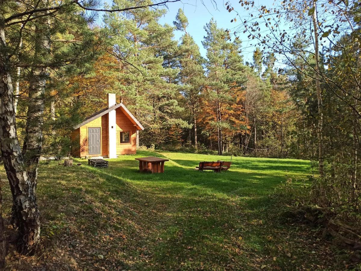 Survivalowa Chata W Lesie Bukowsko Экстерьер фото